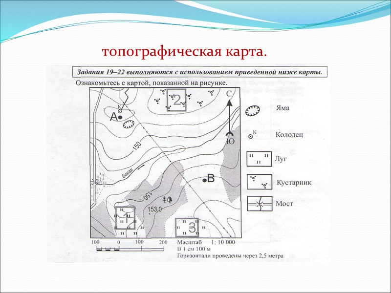 топографическая карта.